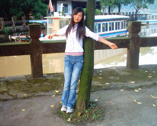 2006  (51)